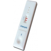 Chlamydia rapid test  20 testes